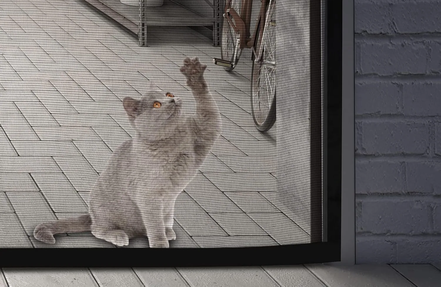 A cat reaching up at the fiberglass mesh of a FEGO garage door screen